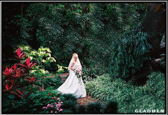 Bride in Sunken Gardens