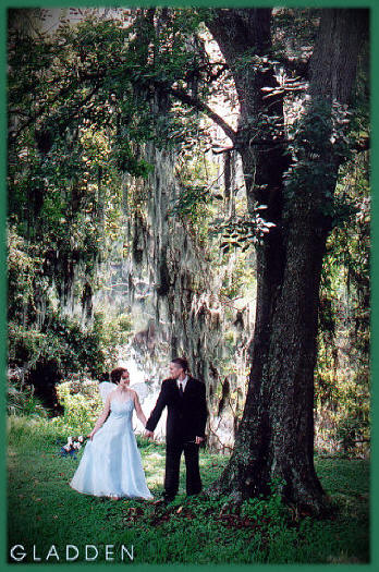Bride and Groom river and tree