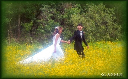 Bride and Groom in a field of Flowers