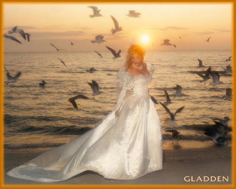 Bride on Beach at Sunset.
