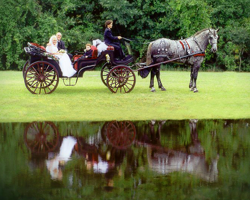 Bride and Groom in Horse and Carriage